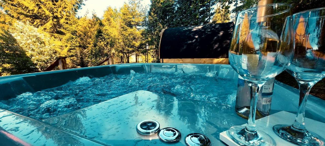 Apartament Widokowy Z Jacuzzi I Sauna Na Wylacznosc - Sikorowka - Dobre Miejsce Висла Экстерьер фото